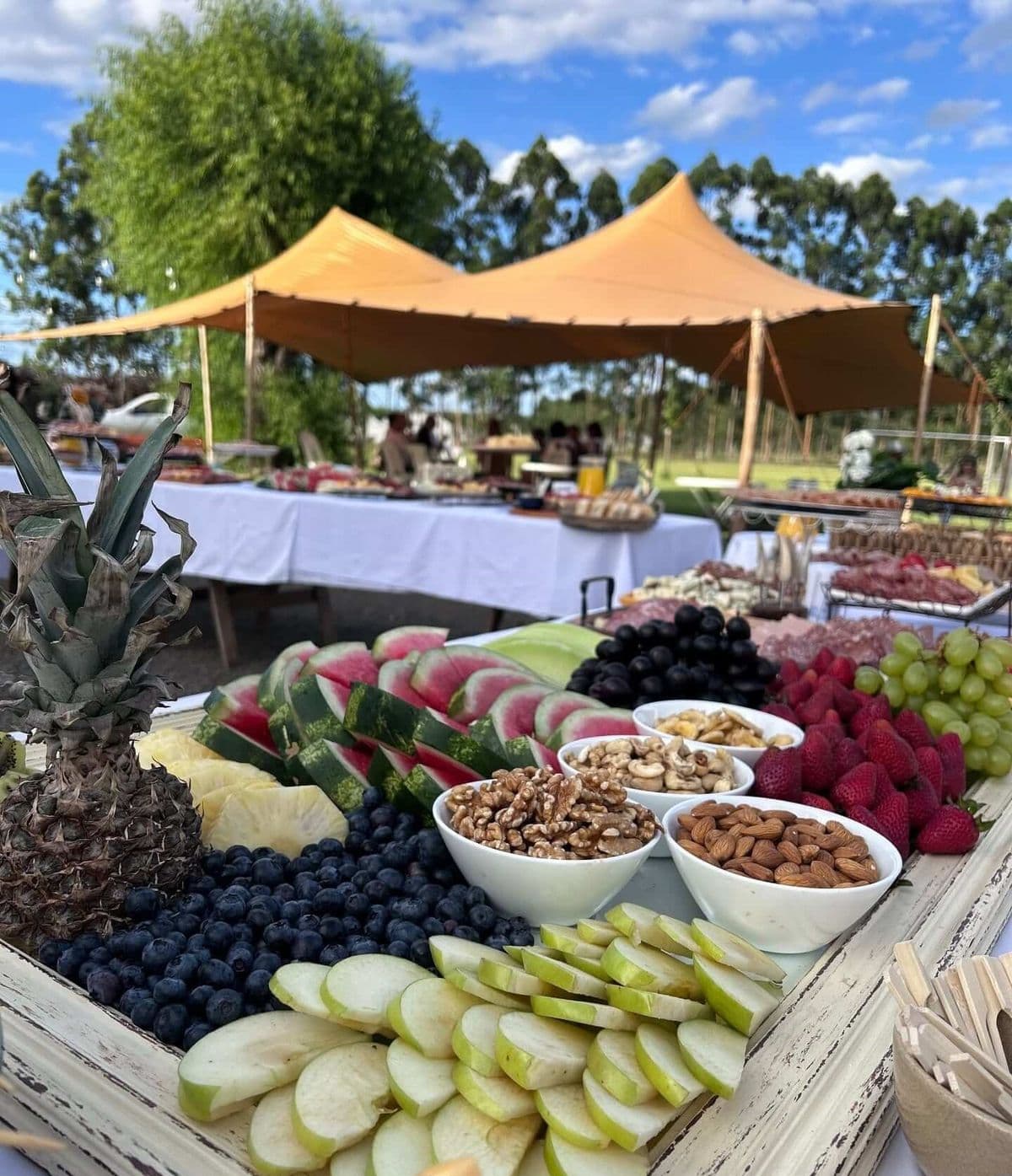 Tabla de frutas al aire libre con ananá, sandía, arándanos, manzana verde, frutillas, uvas y cuencos de frutos secos